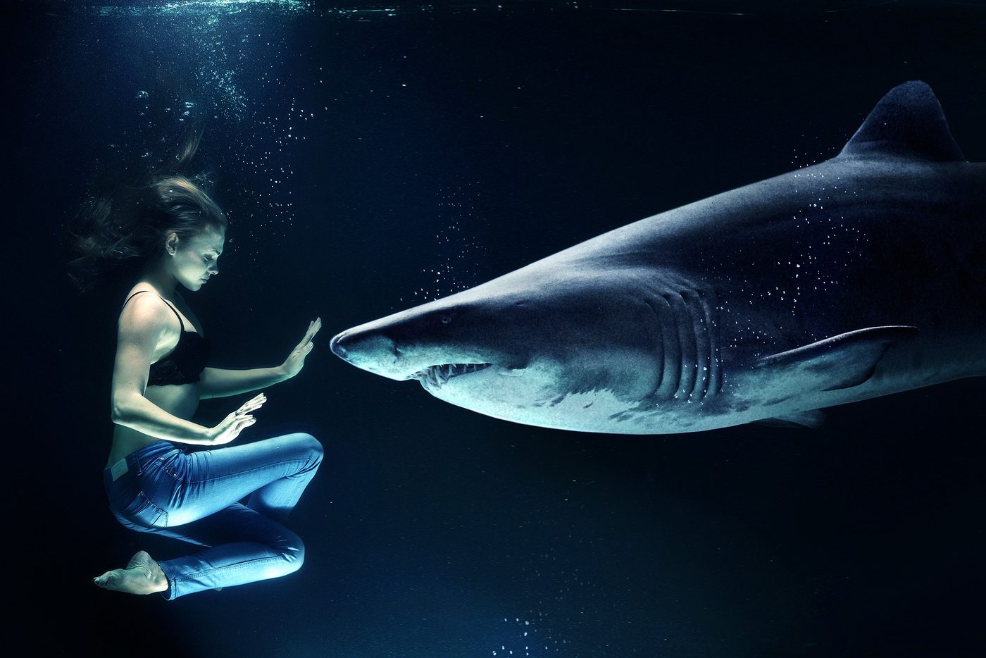 woman and shark